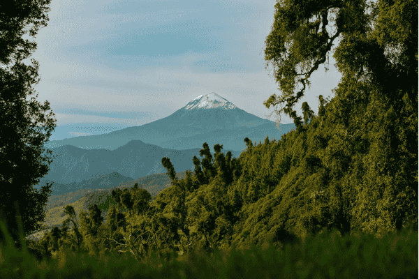 Inspección Vehicular GNP